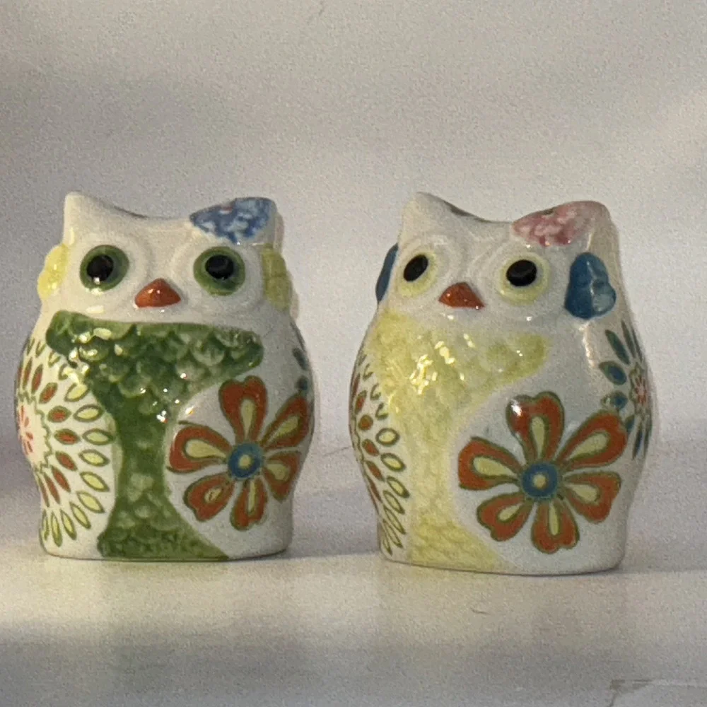 Pier 1 Imports Owl Salt & Pepper Shakers Multicolor Floral Ceramic 3